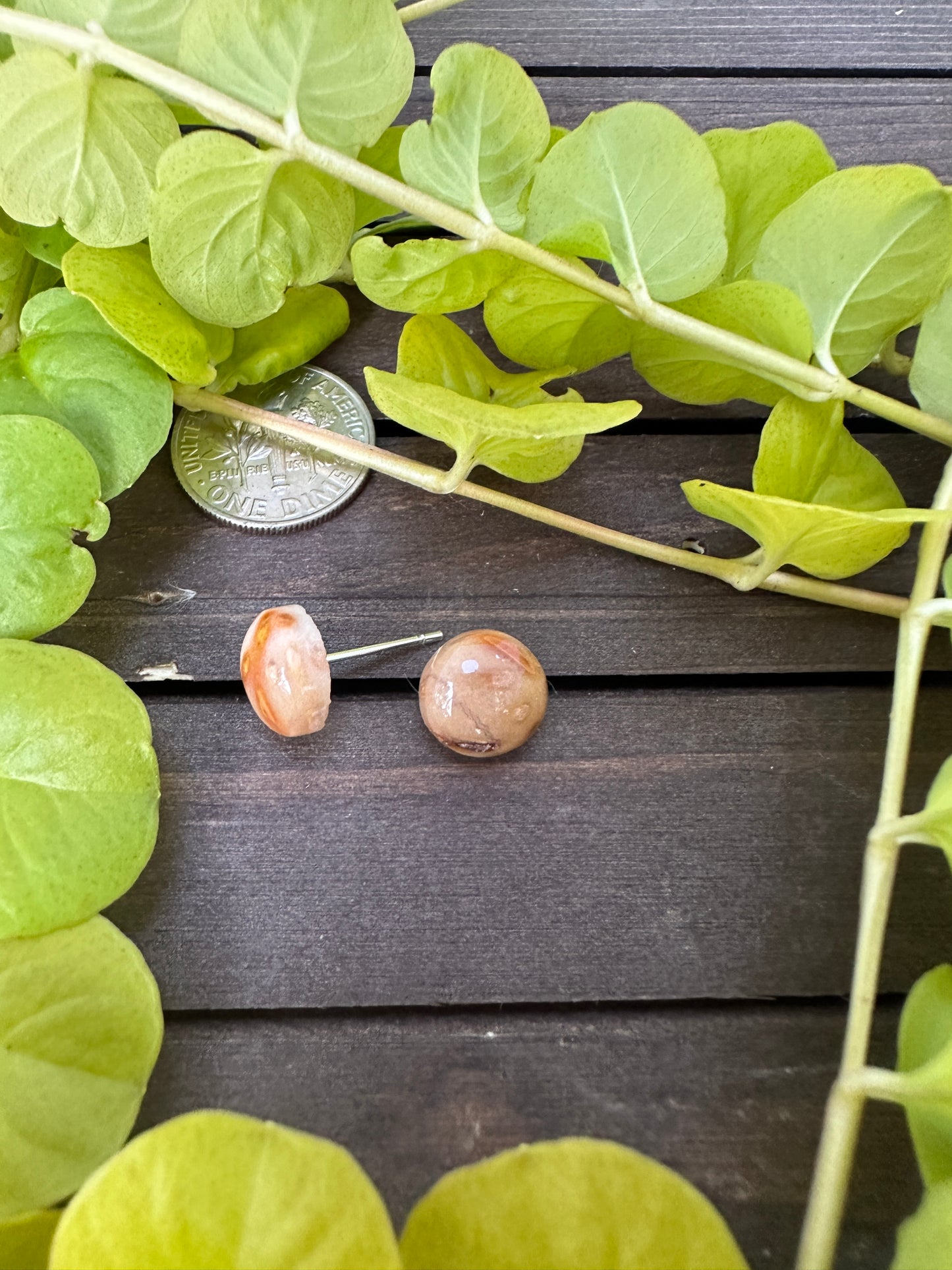 Petrified palm wood - Round studs