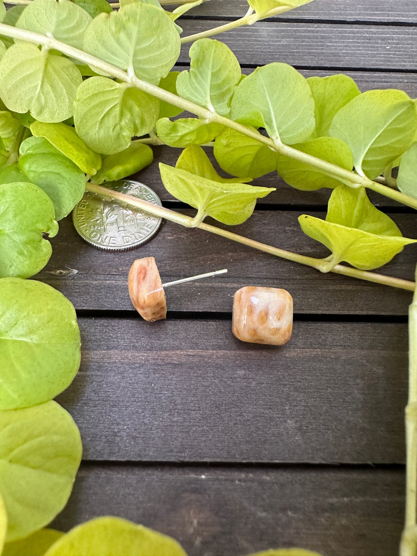 Petrified palm wood - Square studs