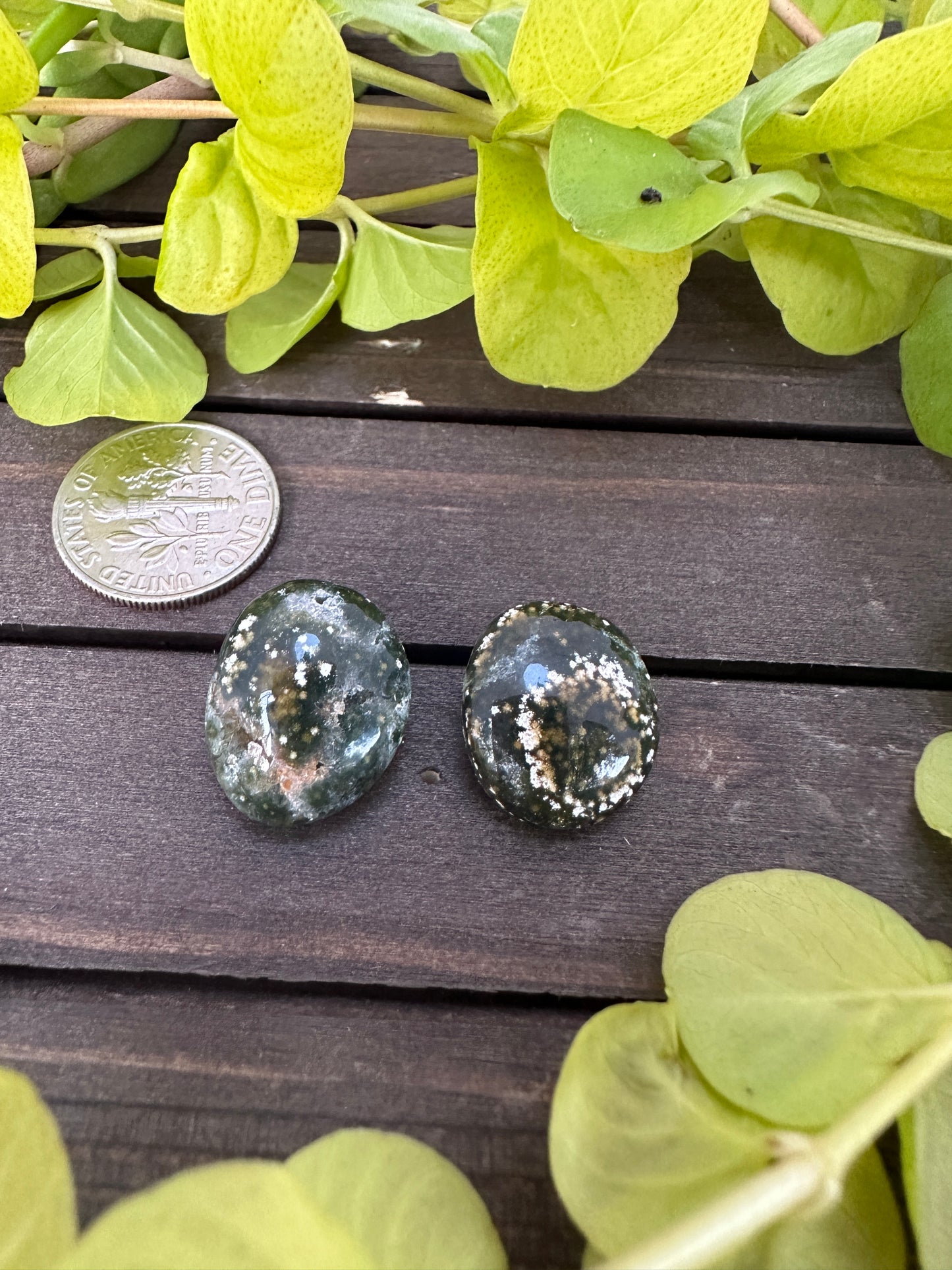 Ocean jasper - studs