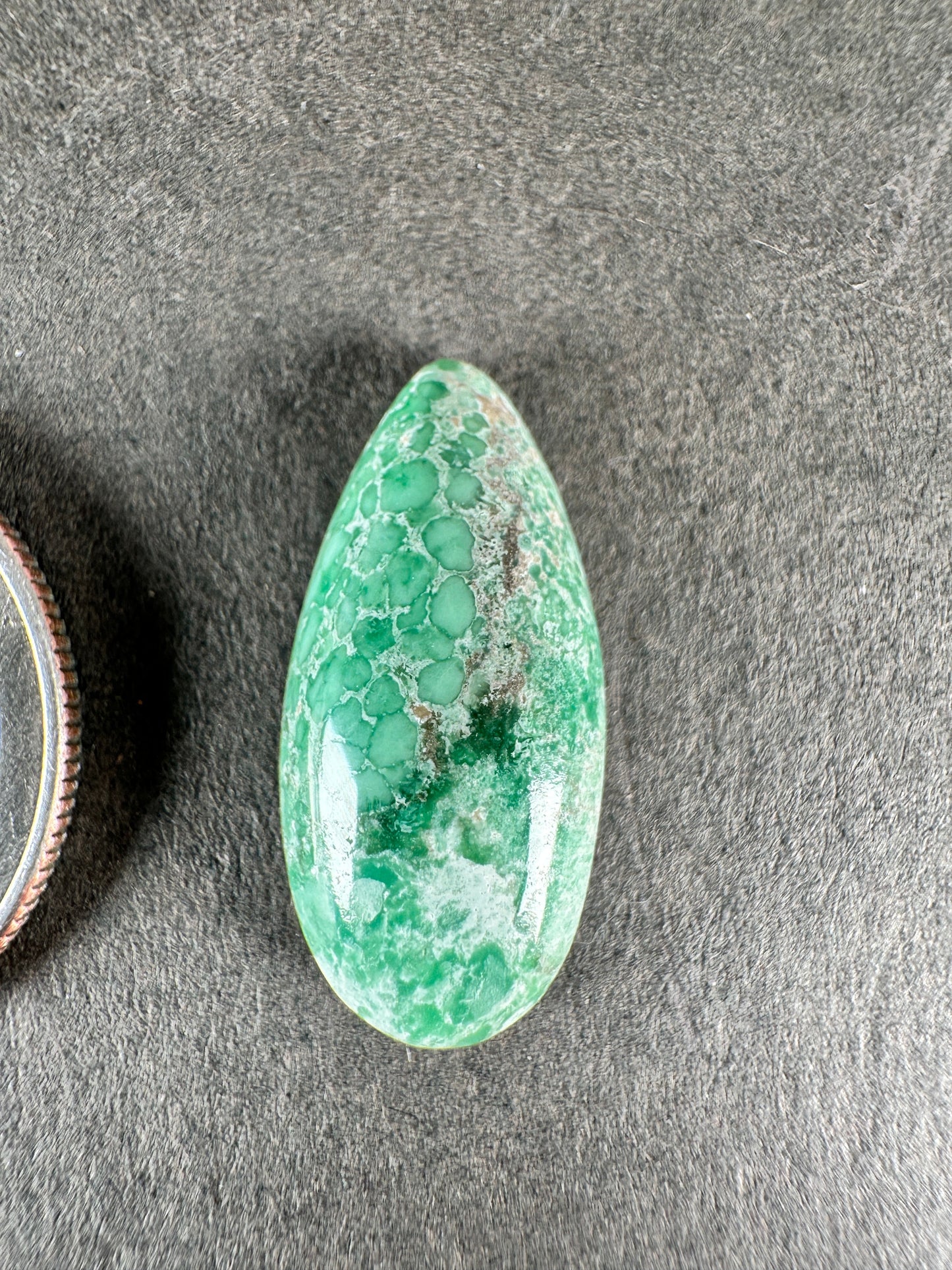 Variscite - Lucin