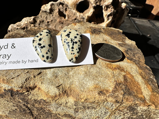 Dalmatian jasper stud