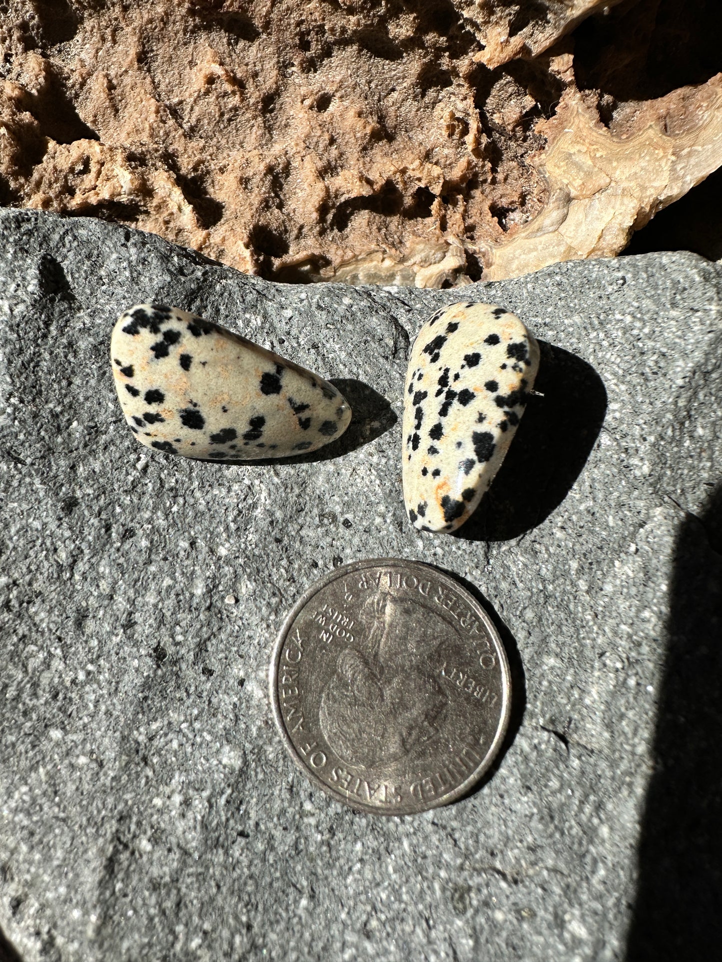 Dalmatian jasper stud
