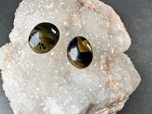 Petrified wood stud