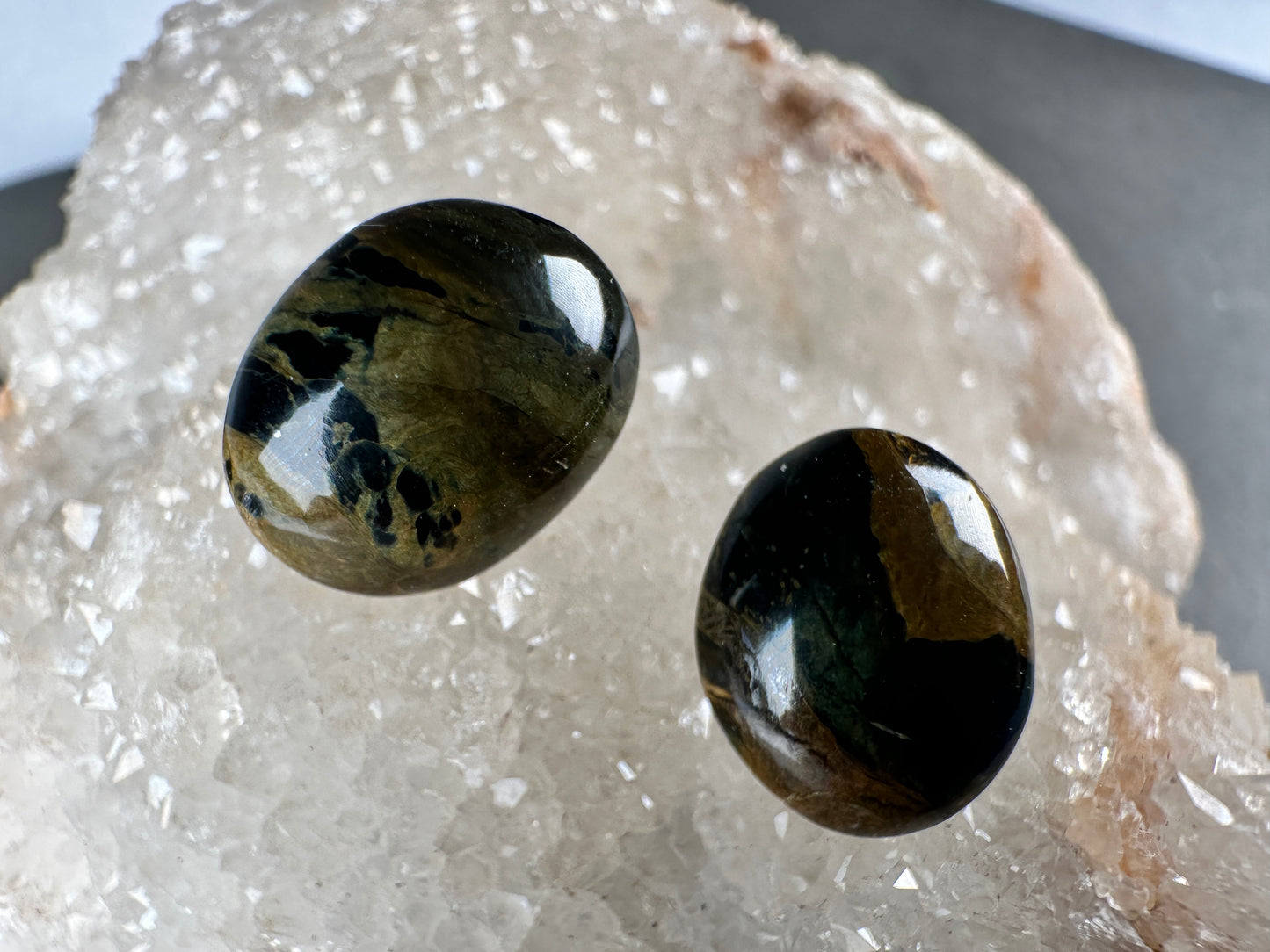 Petrified wood stud