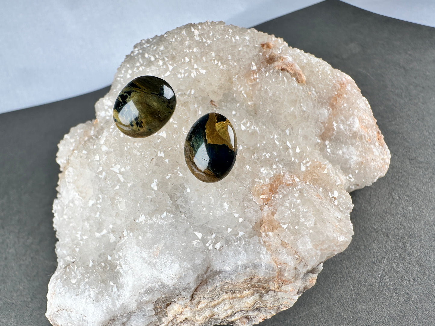 Petrified wood stud