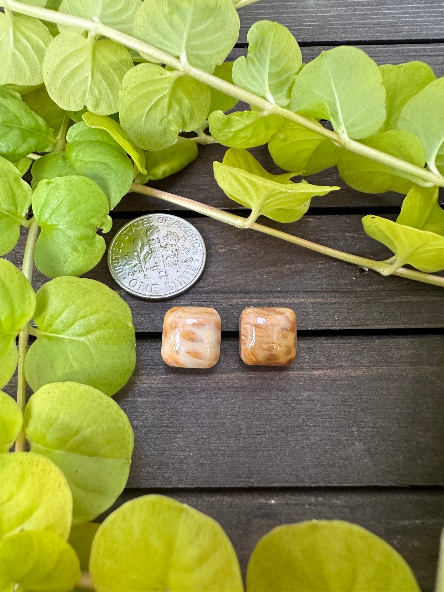 Petrified palm wood - Square studs