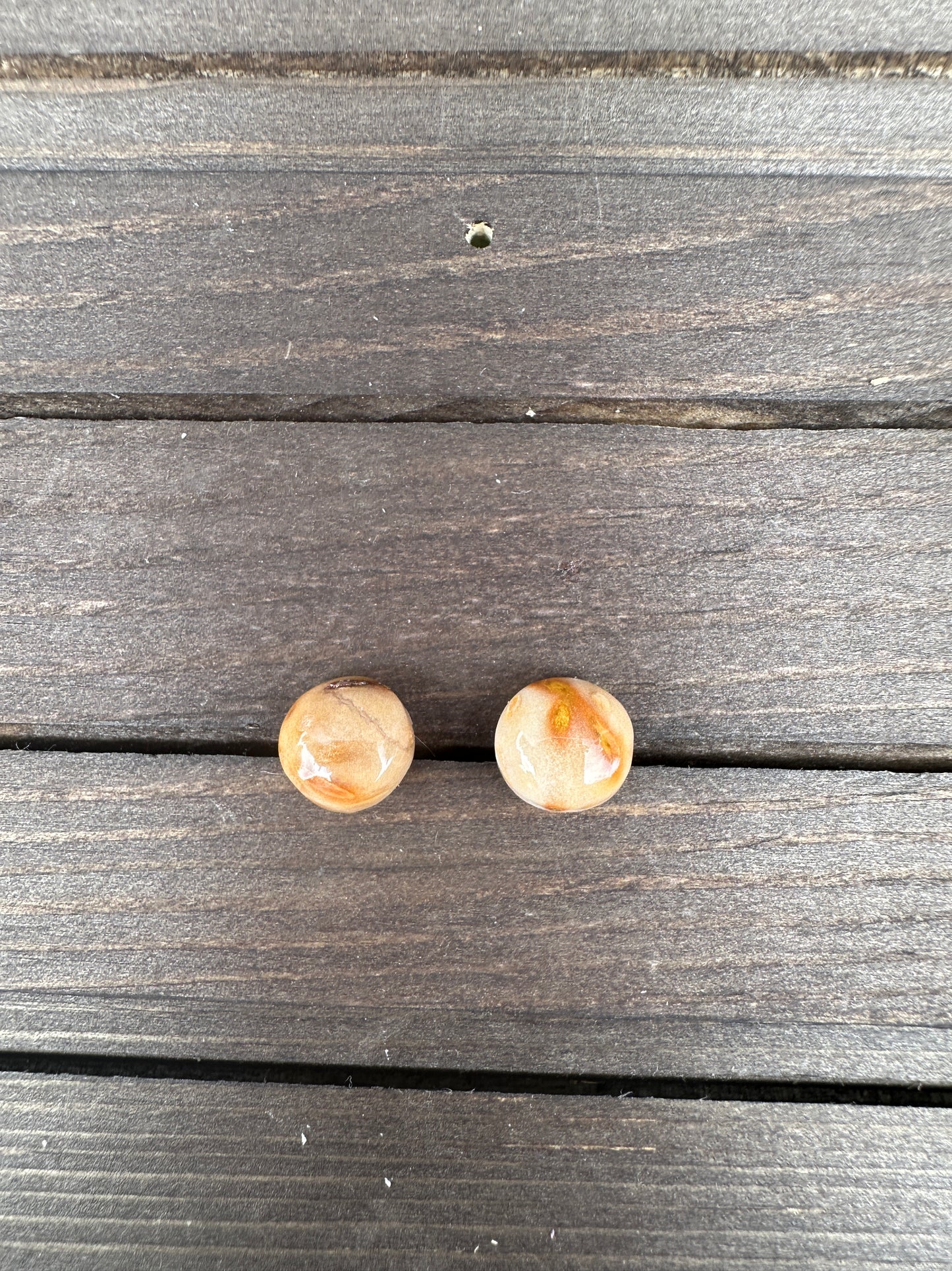 Petrified palm wood - Round studs