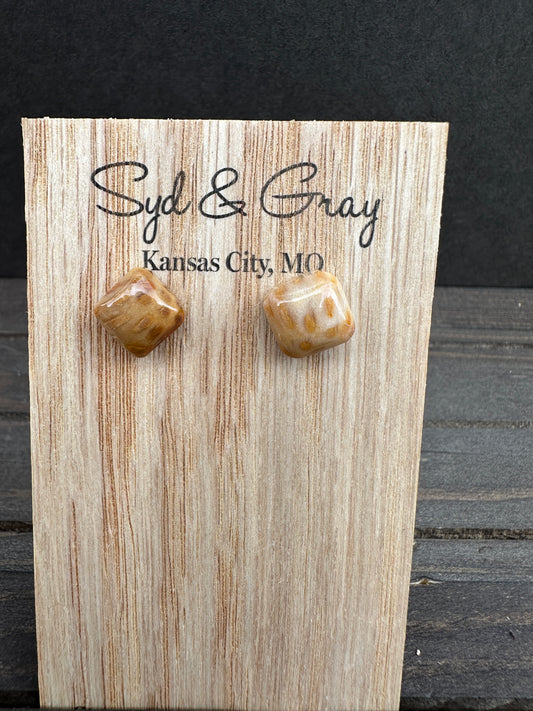 Petrified palm wood - Square studs