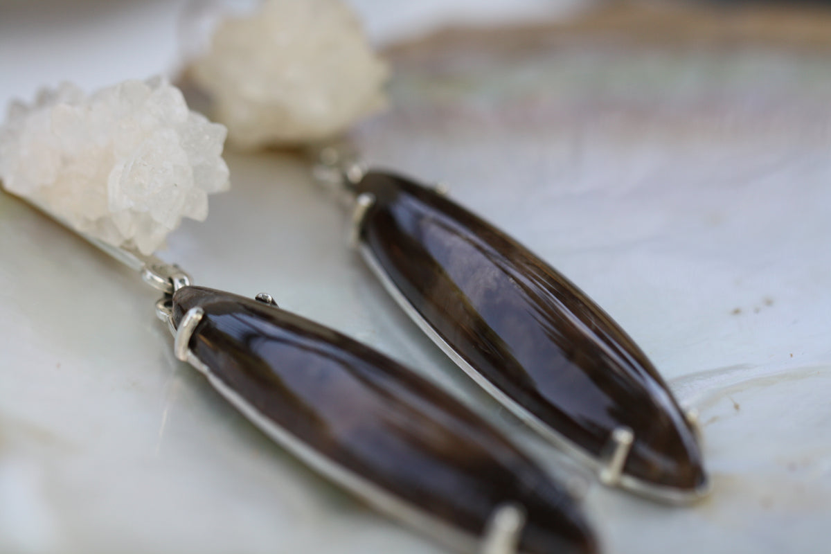 Calcite cluster and petrified wood
