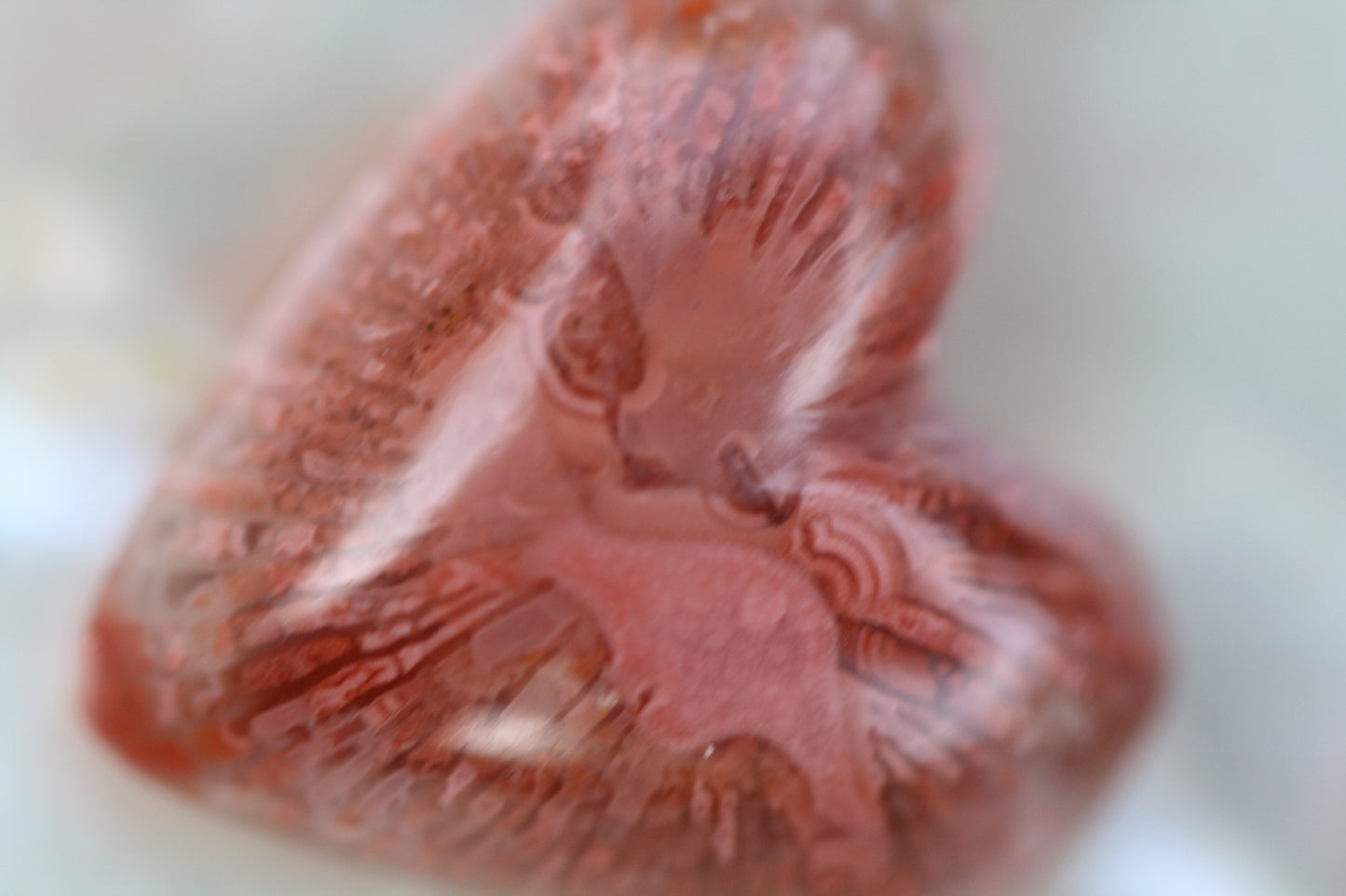 Horn Coral Hearts