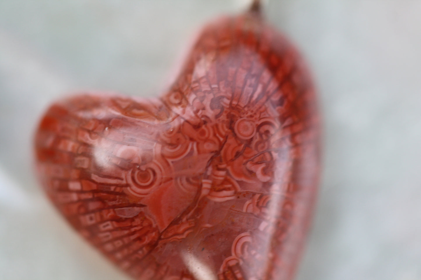 Horn Coral Hearts