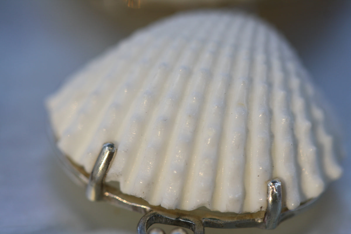 Cockle Shells