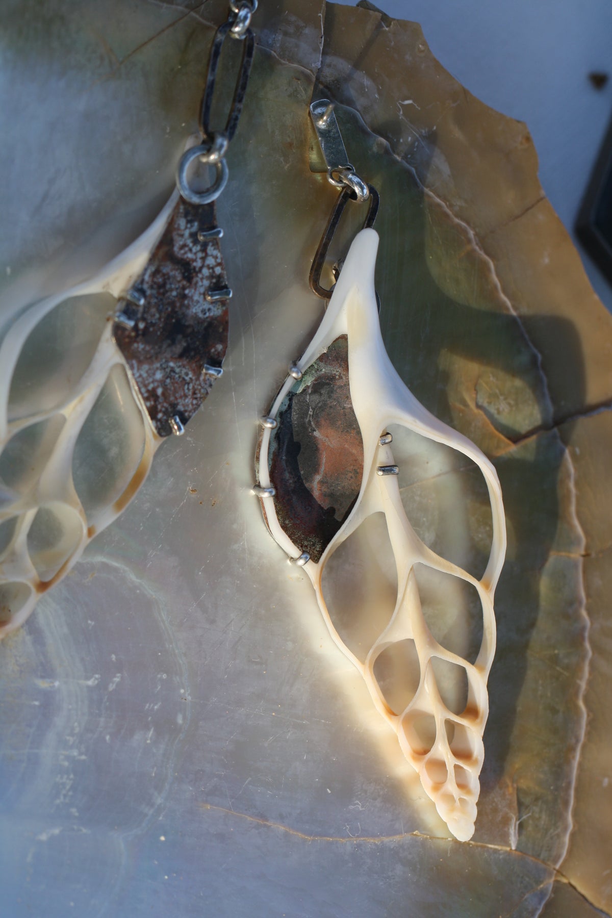 Spindle Seashell