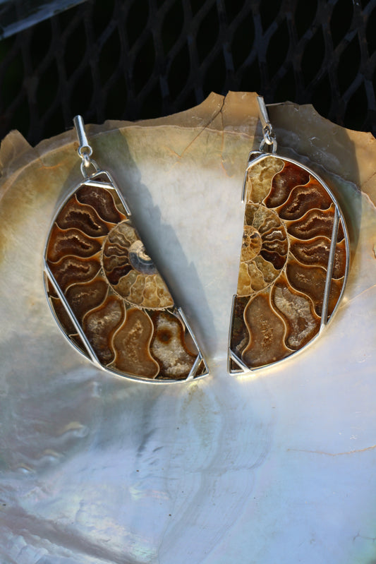 Ammonite