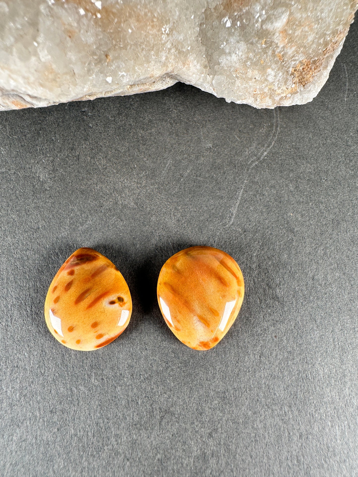 Petrified Palmwood  pair- Texas