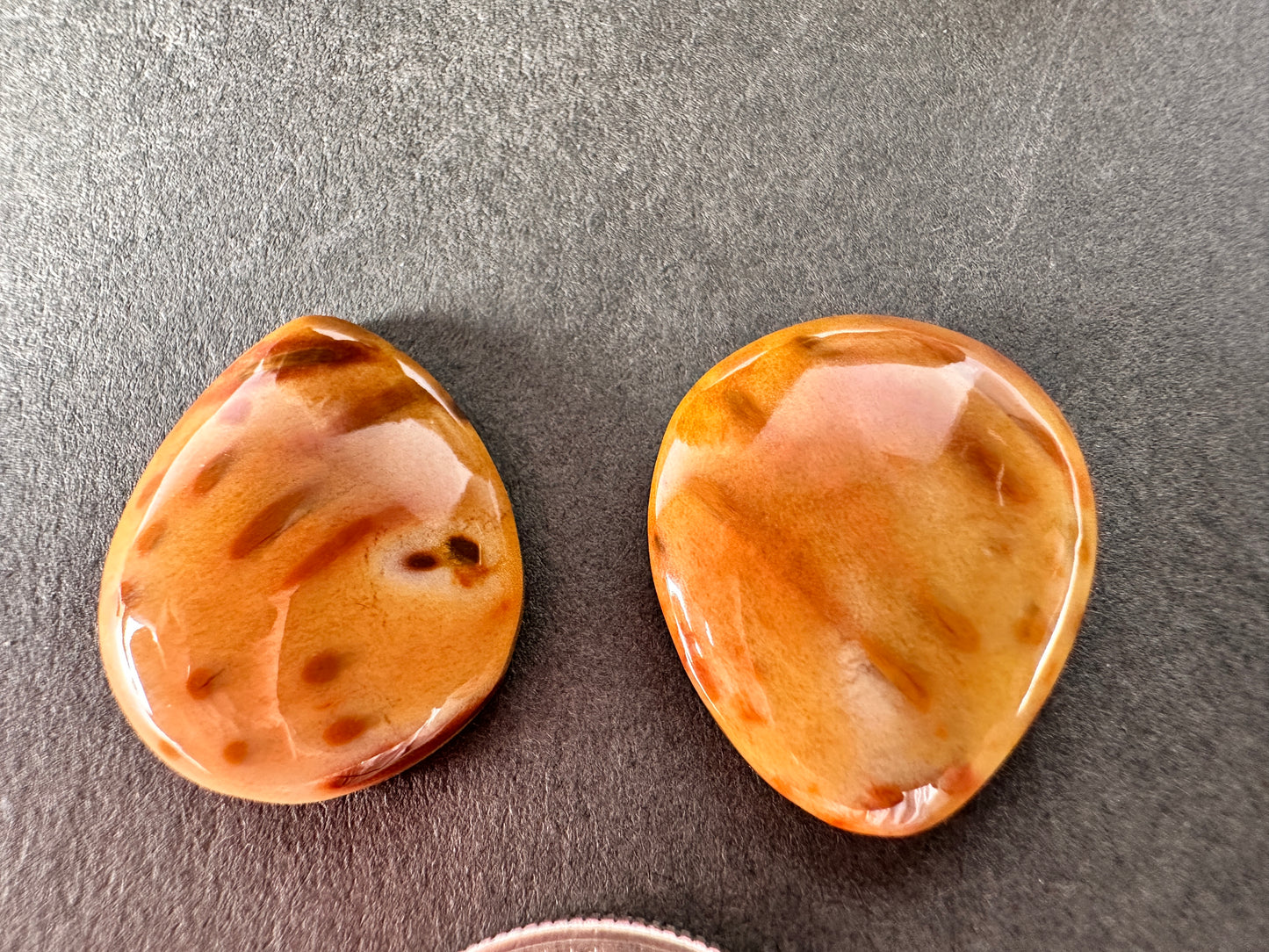 Petrified Palmwood  pair- Texas