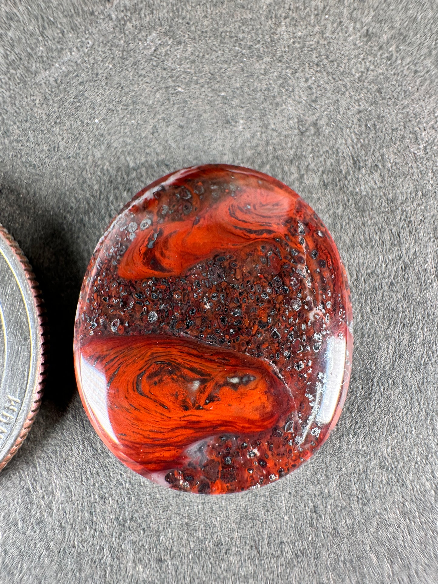 Stromatolite - Mary Ellen Jasper