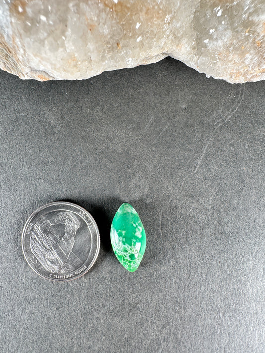 Variscite - Lucin