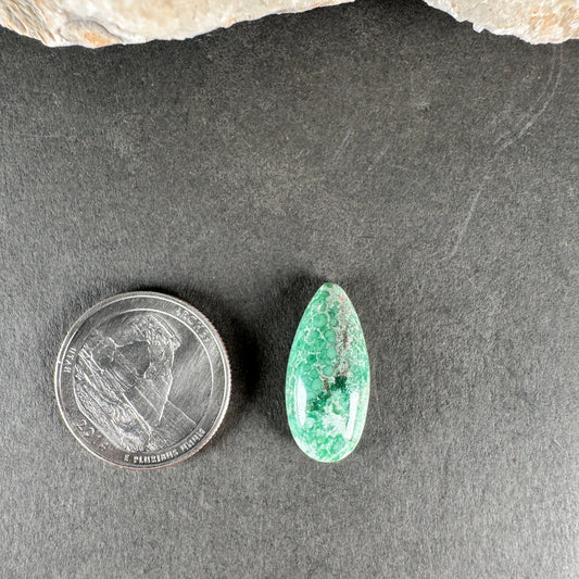 Variscite - Lucin